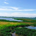 Assam set to become India’s first state-level oil producer