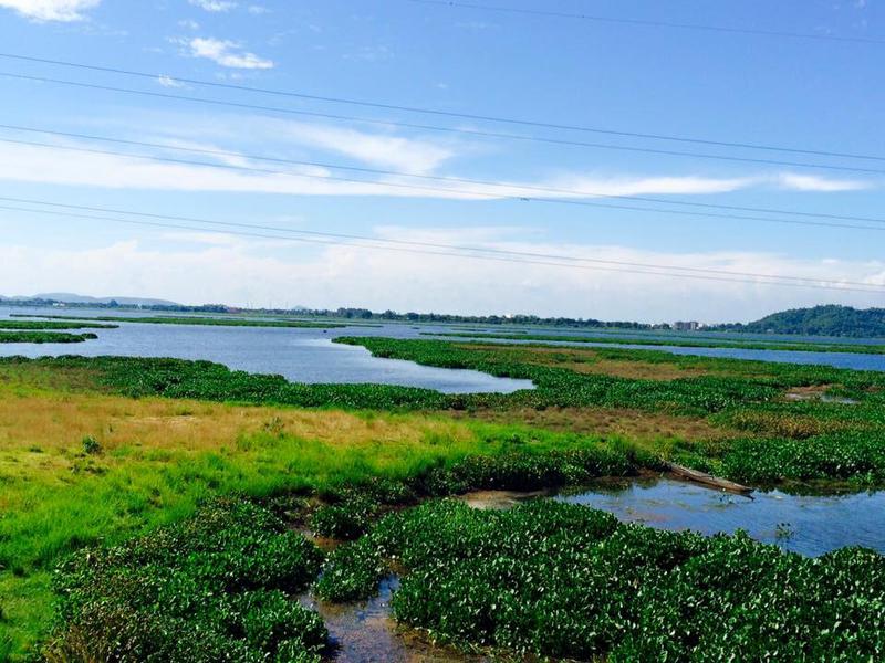Assam set to become India’s first state-level oil producer