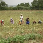 India’s Stance on the hiked tariffs of the US