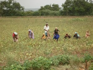 India’s Stance on the hiked tariffs of the US