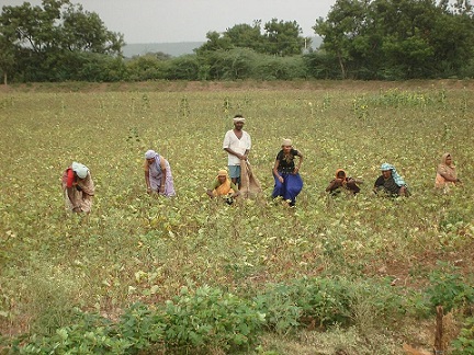 India’s Stance on the hiked tariffs of the US