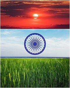 Heroes of Operation Sindoor to shine on Independence Day