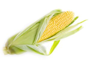 Corn flour: The underrated superfood in your kitchen