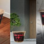 EcoBio Traps: A green innovation for mosquito control