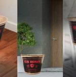 EcoBio Traps: A green innovation for mosquito control