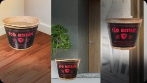EcoBio Traps: A green innovation for mosquito control