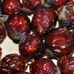 Growing dates in Karnataka: A farmer’s unlikely innovation