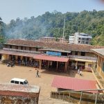 Kamalashile: A sacred blend of myth, nature, and spiritual power