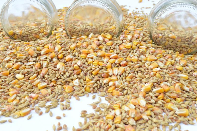 Functional foods fall into three clear groups.