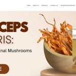 Orange Herb: From tiny room to wellness powerhouse