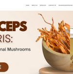 Orange Herb: From tiny room to wellness powerhouse Orange Herb: From tiny room to wellness powerhouse