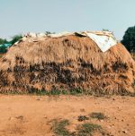 A village innovation, from paddy waste to plastic-free plates A village innovation, from paddy waste to plastic-free plates