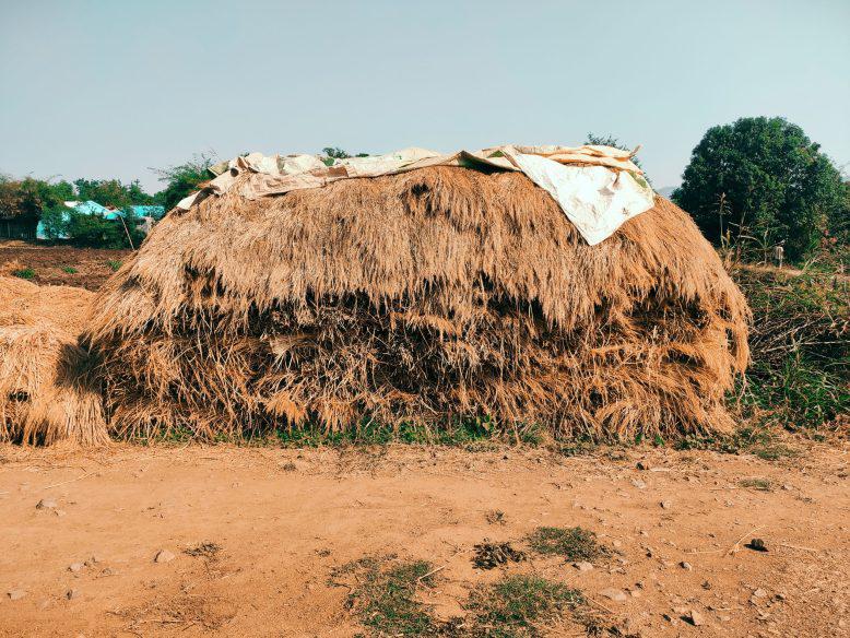 A village innovation, from paddy waste to plastic-free plates