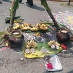 Pongal 2026: A festival of harvest and gratitude