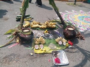 Pongal 2026: A festival of harvest and gratitude