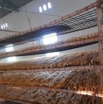 Man revolutionising sericulture at 75 Man revolutionising sericulture at 75