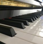 Sound without sight: The music that sees Sound without sight: The music that sees