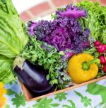 Nutrition and lung cancer: How your diet can protect your health Nutrition and lung cancer: How your diet can protect your health