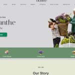 How dried flowers are reviving rural enterprise in Manipur