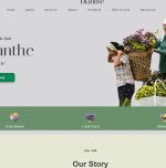 How dried flowers are reviving rural enterprise in Manipur How dried flowers are reviving rural enterprise in Manipur