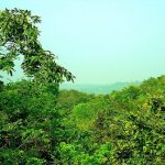 Healthcare reaches the heart of Khammam’s forest villages