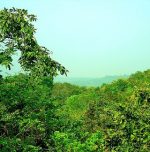 Healthcare reaches the heart of Khammam’s forest villages Healthcare reaches the heart of Khammam’s forest villages