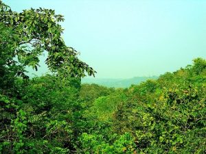 Healthcare reaches the heart of Khammam’s forest villages