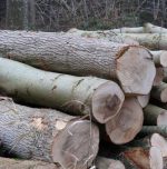 Fuel crisis sparks interest in innovative Vishwaguru Chulha Fuel crisis sparks interest in innovative Vishwaguru Chulha