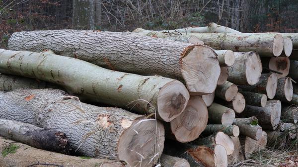 Fuel crisis sparks interest in innovative Vishwaguru Chulha