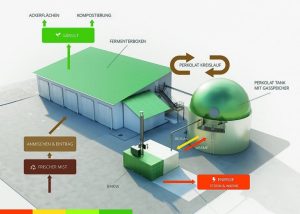 From waste to wealth: A farmer’s energy revolution