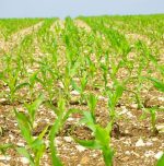 Young innovator bridging technology and agriculture Young innovator bridging technology and agriculture