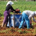 Momentum builds for women’s representation before Parliament session