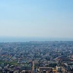 A spoonful of science: The rise of an edible vaccine idea