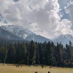 A year after Pahalgam, resolve stands strong