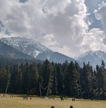 A year after Pahalgam, resolve stands strong A year after Pahalgam, resolve stands strong