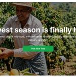 Rent a Tree: A startup turning mango lovers into tree owners Rent a Tree: A startup turning mango lovers into tree owners