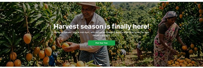 Rent a Tree: A startup turning mango lovers into tree owners