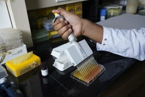 CSIR-CCMB Opens 28 Recruitment Vacancies for 2026