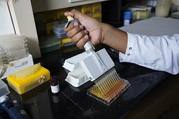 CSIR-CCMB Opens 28 Recruitment Vacancies for 2026