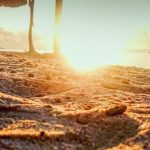 India dominates global list of heat-risk cities