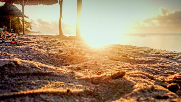 India dominates global list of heat-risk cities