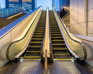 Farmer builds an escalator for wife as a gesture of love
