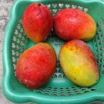Miyazaki mango: The ruby-coloured fruit worth lakhs