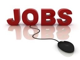 IBPS PO 2026: 6,715 bank officer vacancies announced