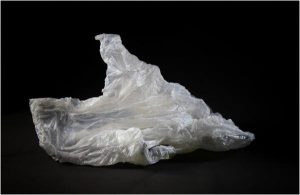 Things you should never carry home in a single-use plastic bag