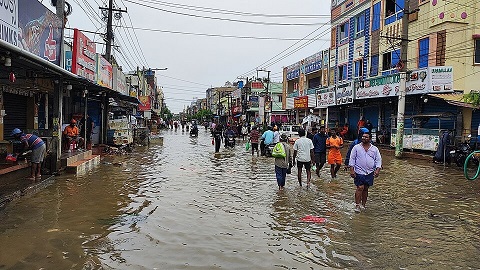 Bihar’s Floating Home Turns Floods Into Innovation