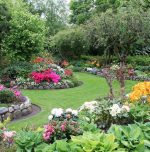 TheGreenWealth Brings Science to Urban Plant Care