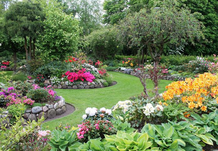 TheGreenWealth Brings Science to Urban Plant Care
