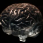 Everyday Habits That May Harm Your Brain Health