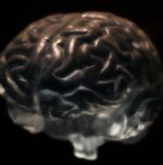 Everyday Habits That May Harm Your Brain Health